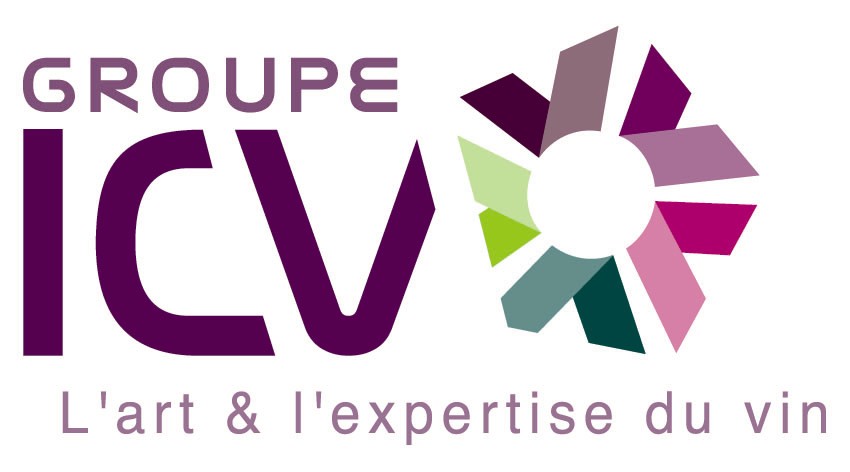 ICV logo quadri