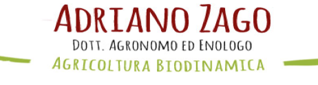 Logo Adriano Zago